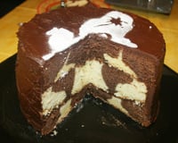 Gâteau damier au chocolat
