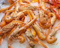 Comment réussir la cuisson des langoustines ? 3 conseils simples et pratiques