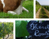 Mini-cocottes de pommes de terre