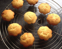 Minis muffins au citron