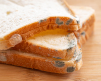 Couper le moisi et jeter le reste : est-ce une bonne idée de faire ça avec un aliment abîmé ?