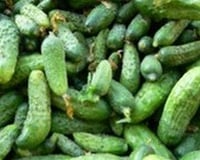 Comment préparer des cornichons ?