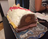 Ma bûche cachée