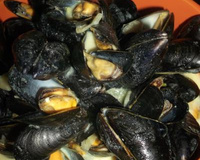 Moules à la crème et curry