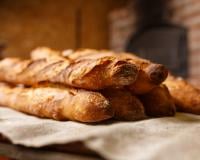 Coupe du monde de boulangerie 2024 : la France enfin sacrée !