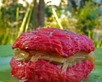 Chapi chapo de tomates confites & fenouil