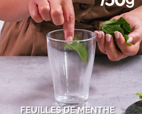 Mojito le vrai