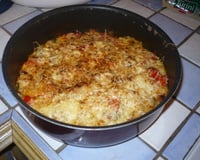 Gratin d'endives à la tomate