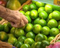 Leclerc, Carrefour, Intermarché : plusieurs enseignes décident de rappeler ces citrons qui contiennent un taux élevé de pesticides !