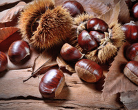 Vous venez de ramasser ou d’acheter des châtaignes ? Voici comment bien les conserver