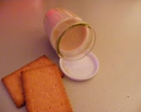 Yaourt aux biscuits