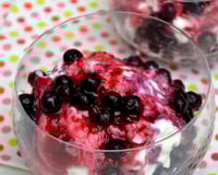 Panna montata aux myrtilles