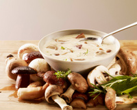 Velouté de cèpes