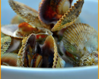 Pétoncles noires rôties, pain et beurre 1/2 sel