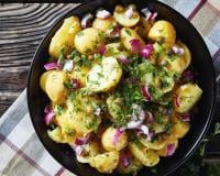 Salade de pommes de terre primeur aux oignons rouges, câpres et herbes fraîches