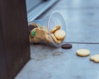 La fameuse règle des 3 secondes est un mensonge et cette experte rétablit enfin la vérité