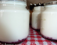 Yaourts vanille & cerises