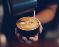 Quel est le meilleur lait à mettre dans son café ? Cette nutritionniste nous donne la réponse