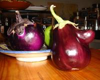 L'aubergine Américaine avec le chèvre frais, l'ail, quelques poivrons et surtout, arosée de la bouteillan du pays de Giono.