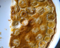 clafoutis moelleux aux abricots
