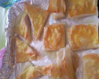 Brick de saumon et mozza !