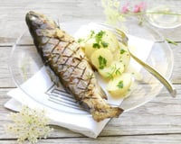 Truite d'aquaculture de nos régions grillée et beurre persillé, pommes