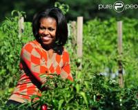 Nous voilà rassurés sur le potager de Michelle Obama