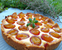 Tarte aux mirabelles au thermomix