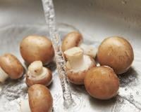 Faut-il laver ses champignons ?