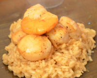 Risotto de Saint jacques
