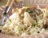 Riz aux cardoncellis et Philadelphia