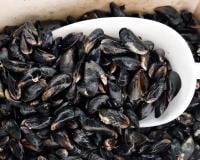 Alerte rappel produit : si vous avez acheté ces moules en supermarché, ne les consommez surtout pas