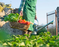 Éloignez les limaces et les pucerons de votre jardin grâce à cet ingrédient que vous avez déjà en cuisine !