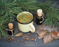Est-ce une bonne idée de cuisinier son sapin de Noël après les fêtes pour éviter le gaspillage ?