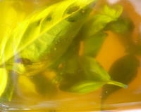 Huile d'olive basilic maison