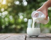 Entre le lait entier, demi-écrémé ou écrémé : lequel privilégier au quotidien ?