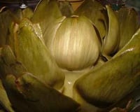 Artichauts à la vinaigrette