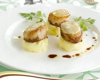 Purée noisettée et ses Saint-Jacques