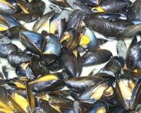 Moules marinières gourmandes