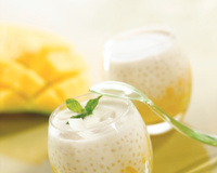 Crème dessert perlée