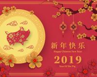 Envie de faire la fête ? Préparez avec nous le Nouvel An Chinois 2019 !