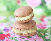 Macarons chocolat et pistache