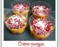 Crème mangue, grenade-framboise au lait de coco