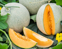 Melon entamé : combien de temps peut-on le conserver au frigo sans risque ?