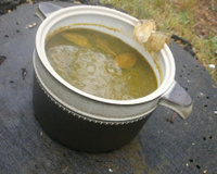 Potion de Druidesse