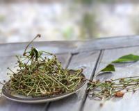 Ne jetez plus vos queues de cerises : faites-en une infusion