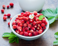 Les fruits et légumes d'août