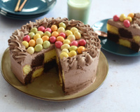 Gâteau damier vanille chocolat