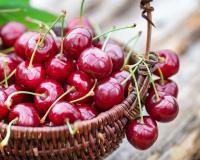 Quiz : Il est venu le temps des cerises, mais est-ce que tu sais vraiment tout d'elles ?