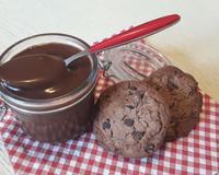 Vous êtes en panne de pâte à tartiner faîtes cette recette elle ne vous décevra pas bien au contraire !